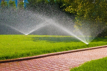 Irrigation System Installation Thumbnail