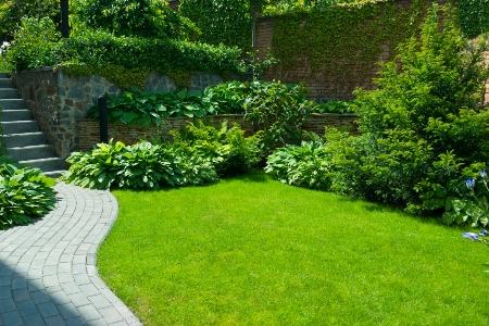 Landscaping Thumbnail