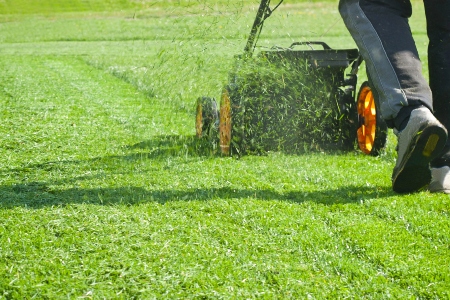 Lawn Mowing Thumbnail