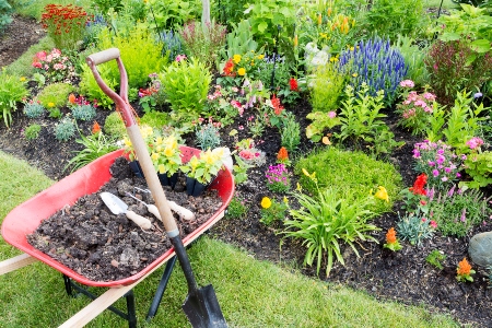 Plant & Softscape Installation