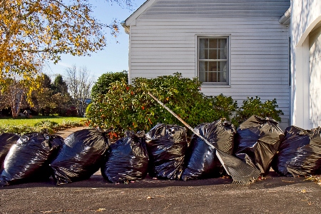 Spring & Fall Yard Cleanups Thumbnail