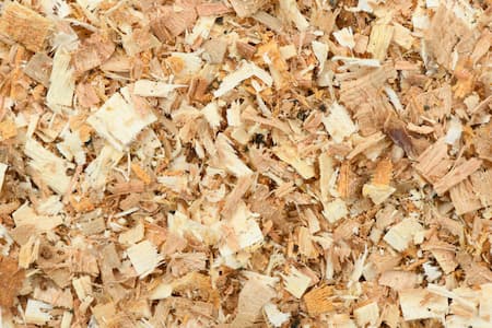 Wood chip